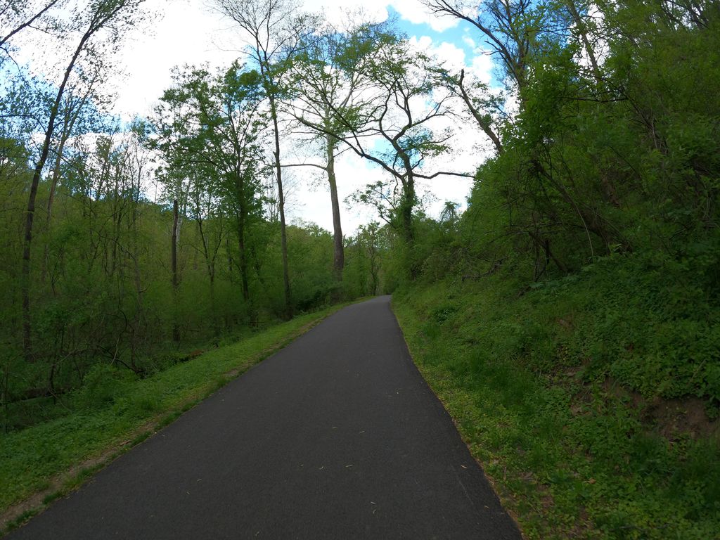 Vineyard Spring Trail
