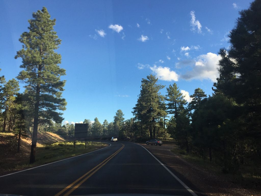 Residential Loop