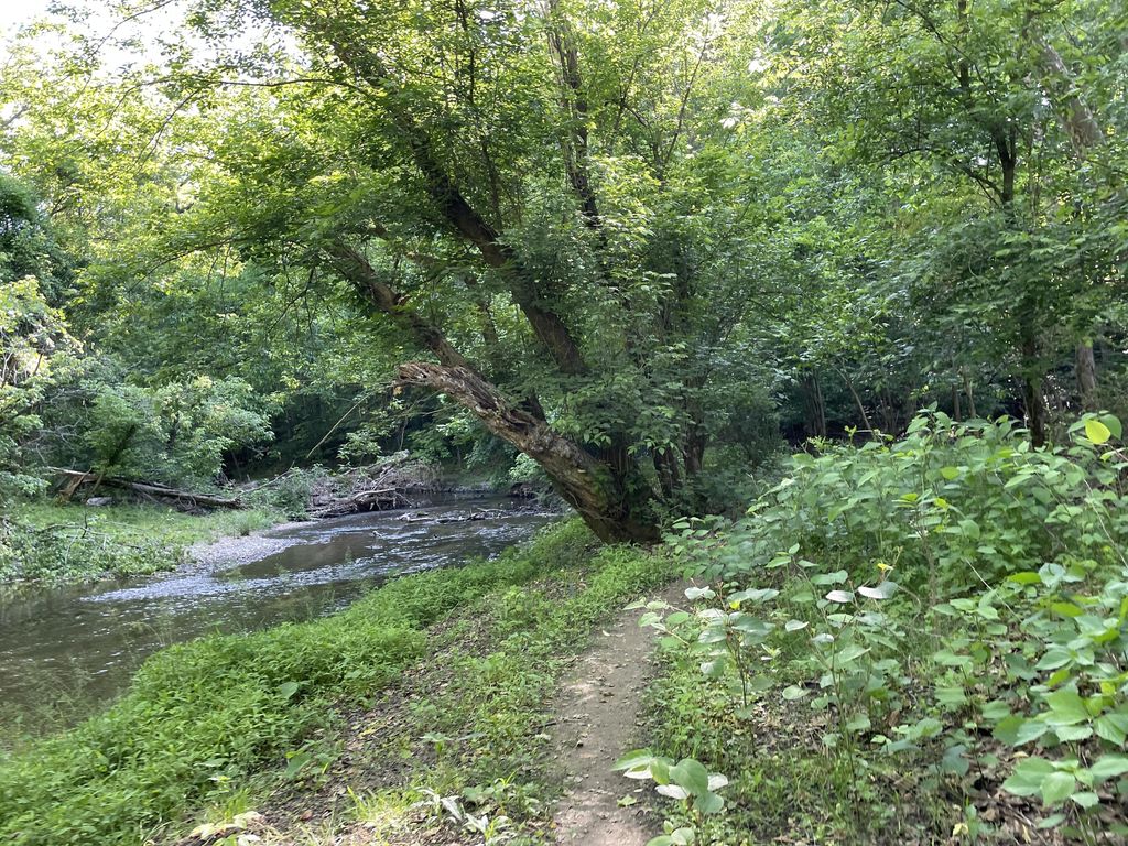 Red Trail