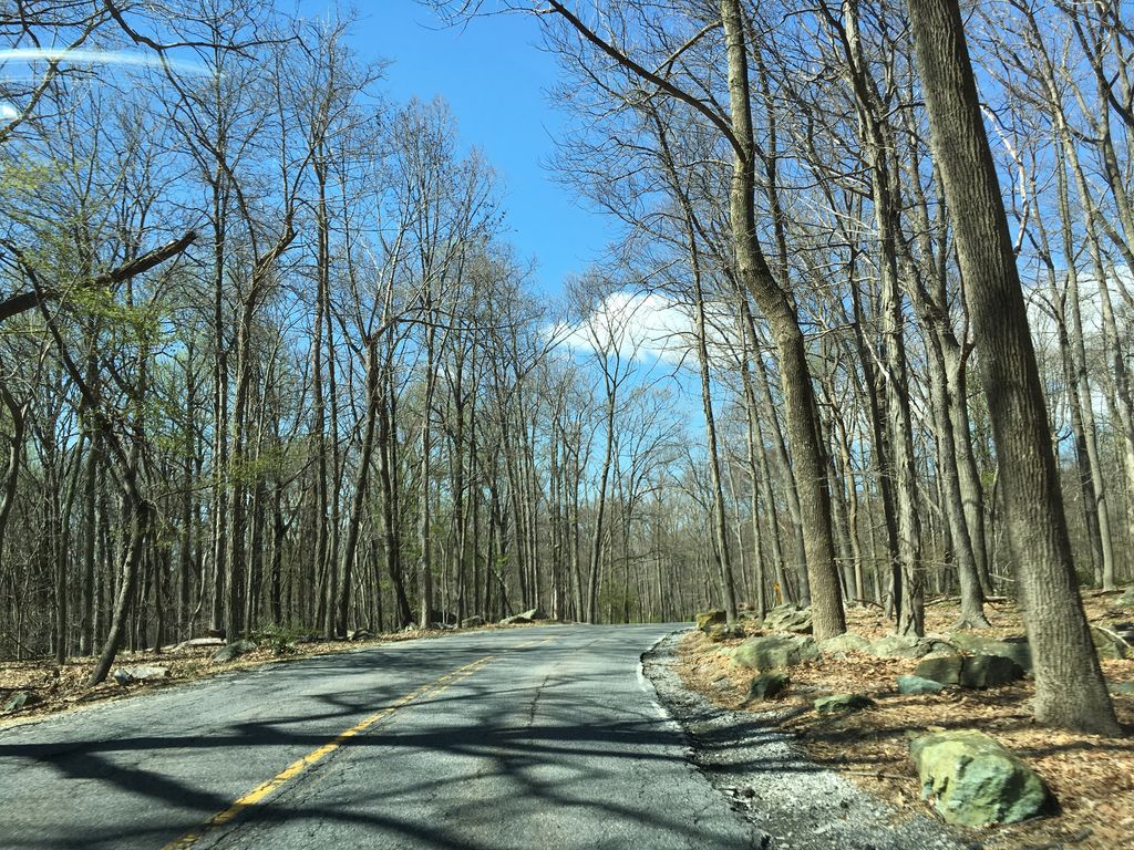 Spicebush Nature Trail