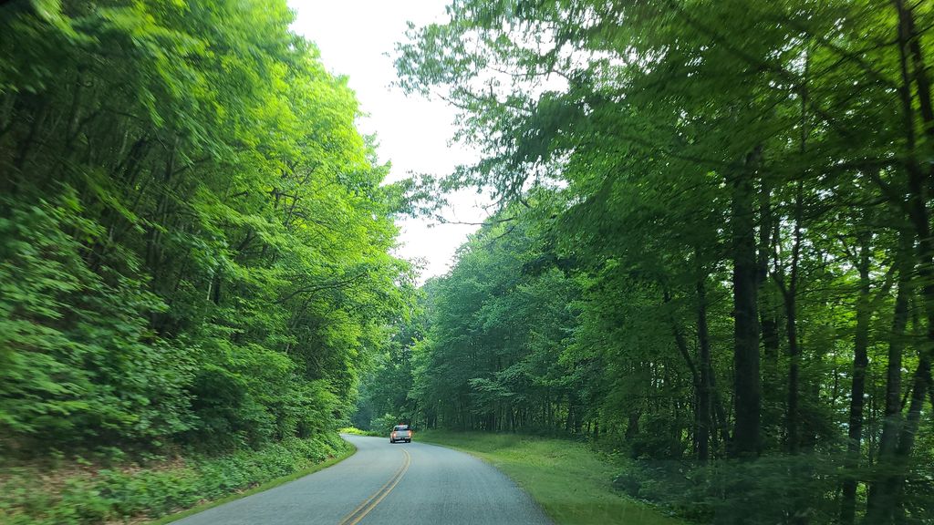 Avery Creek