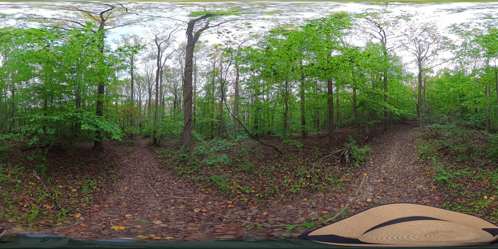 Lake Trail