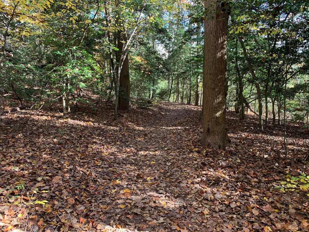 Pondside Nature Trail