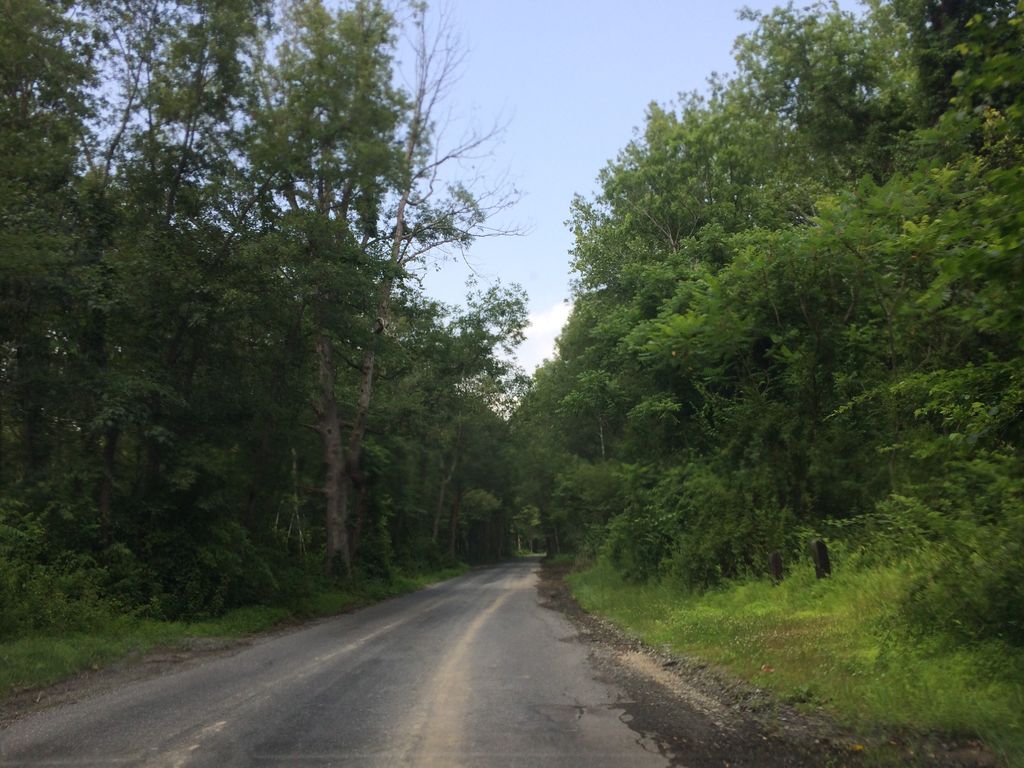Cemetery Trail