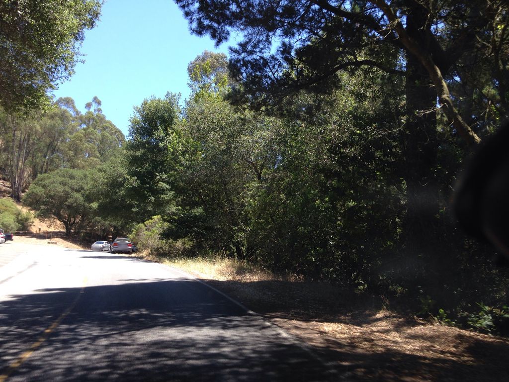 Mokelumne Coast to Crest Trail