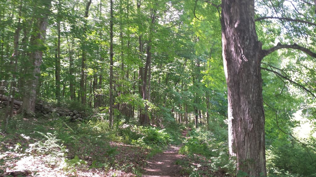 Deer Hollow Trail