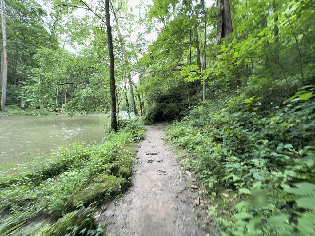 John L. Rich Trail