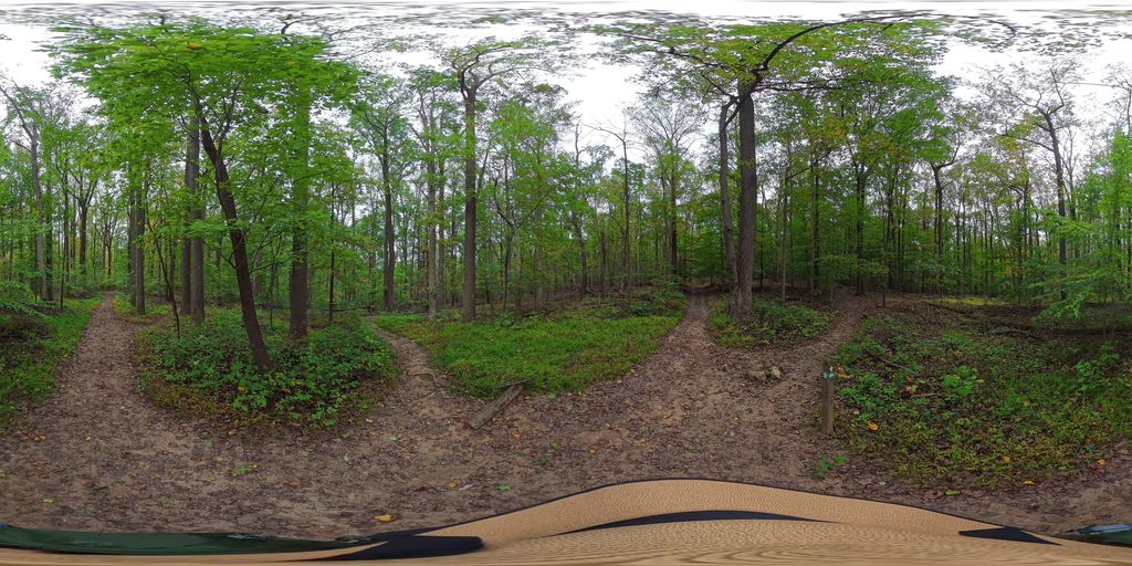 Laurel Trail