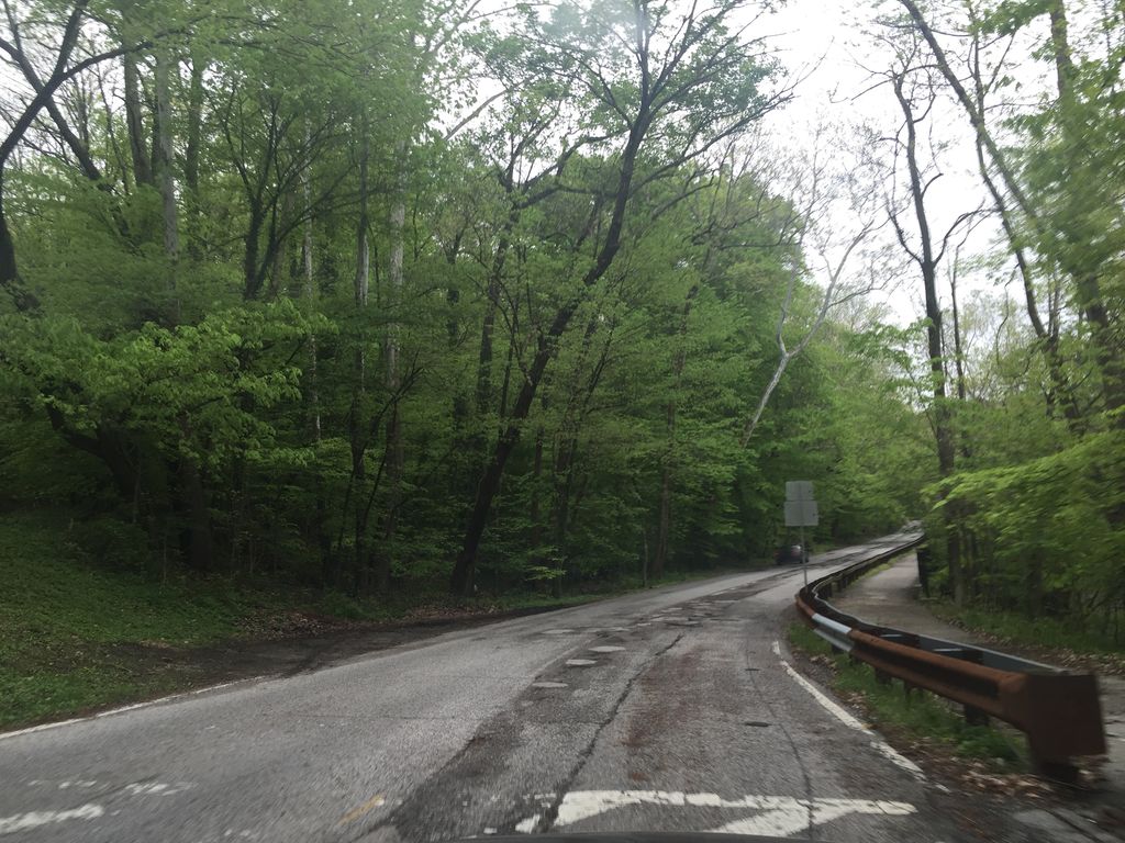 Ravine Trail