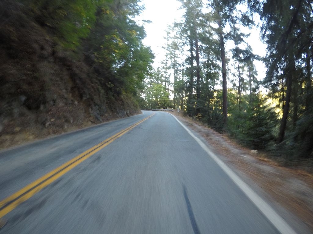 Rincon Fire Road