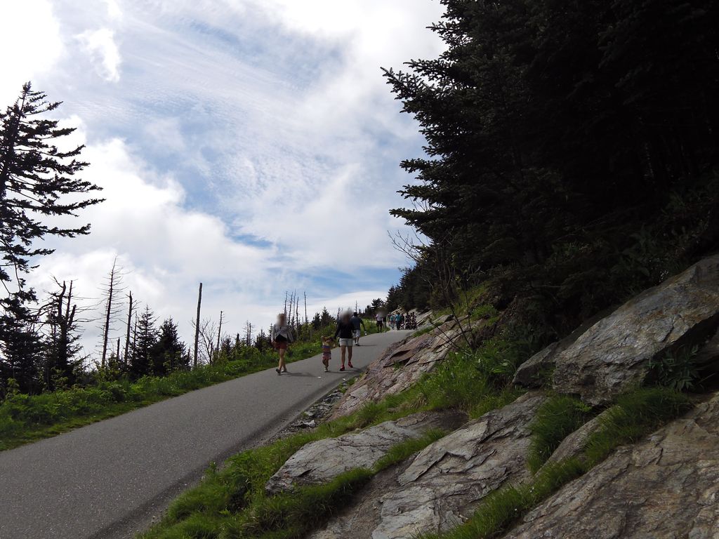Clingmans Dome Bypass Trail
