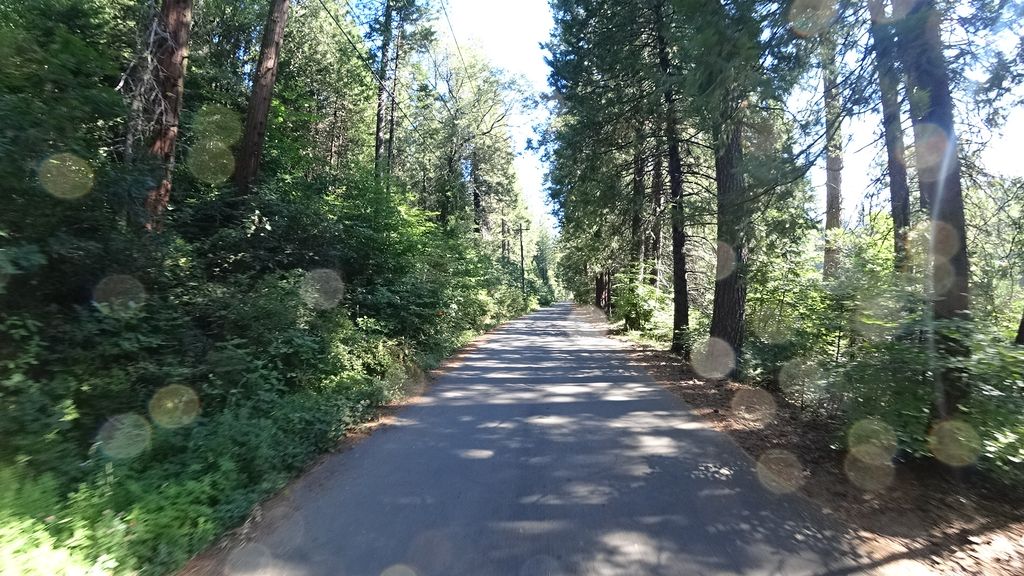 Logging Museum Trail