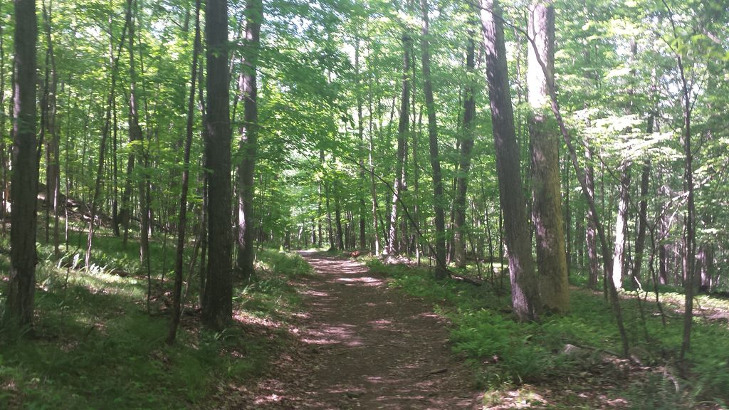 Red Trail