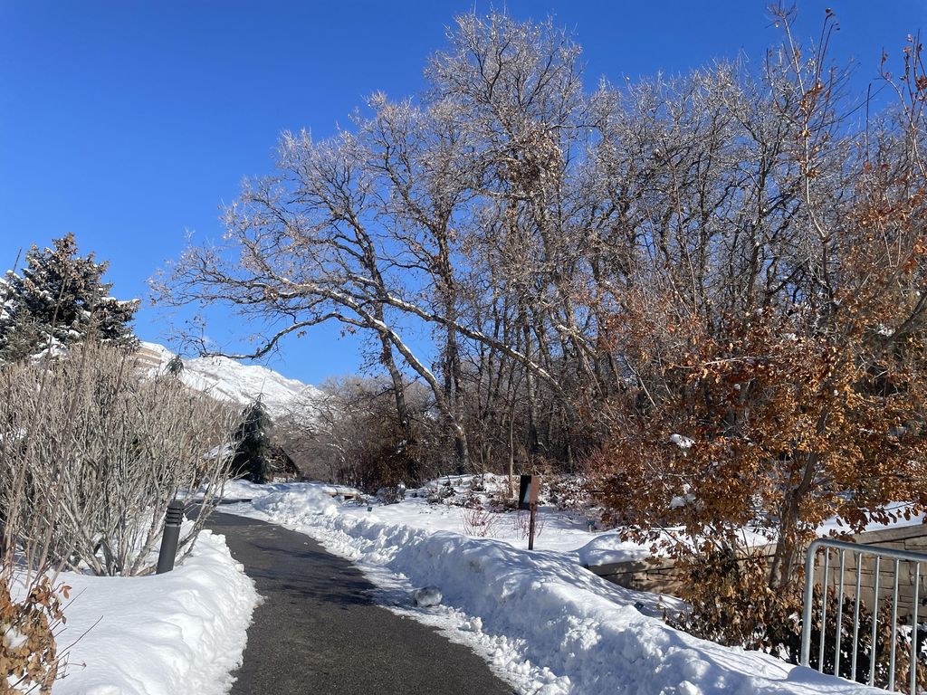 Six Bridges Trail