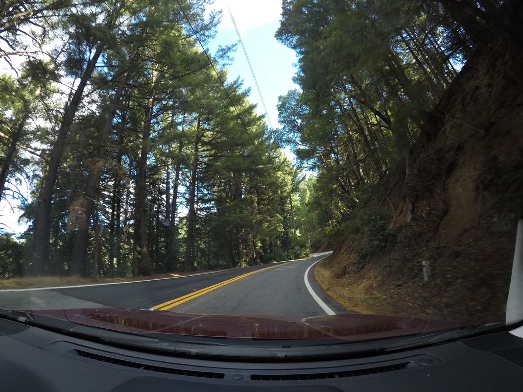 Costanoa Campsite