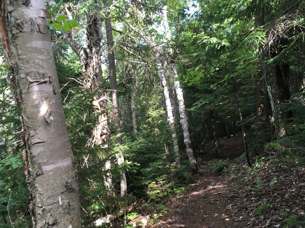 Roaring Brook Campground