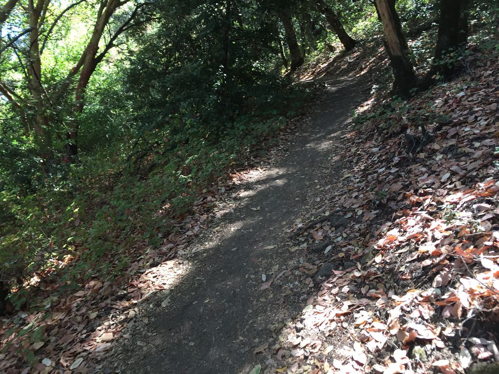 Ridge Trail