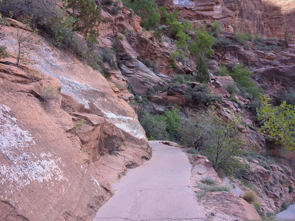 Angels Landing Trail--West Rim Trail