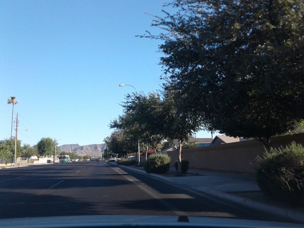 El Prado Park Walking Path
