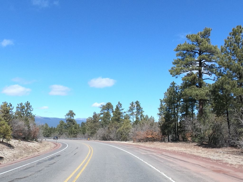 Oak Flat Connector Trail