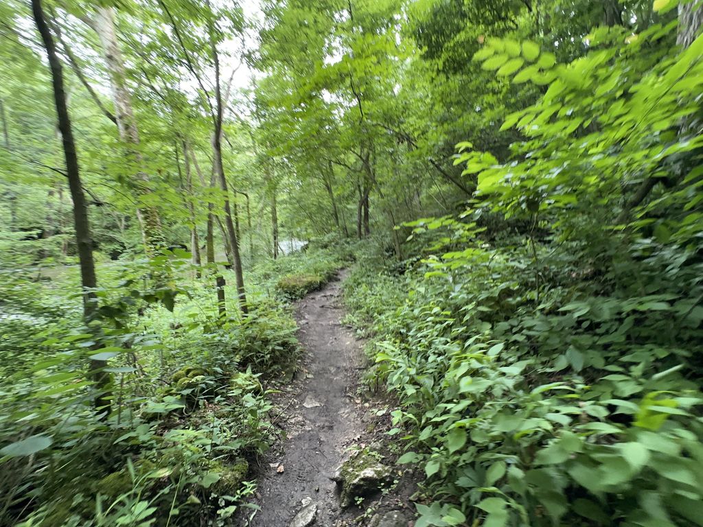Orton Trail