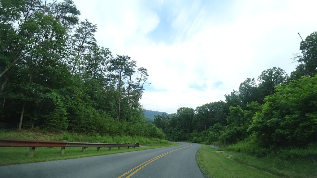 Bear Bottom Loop Trail