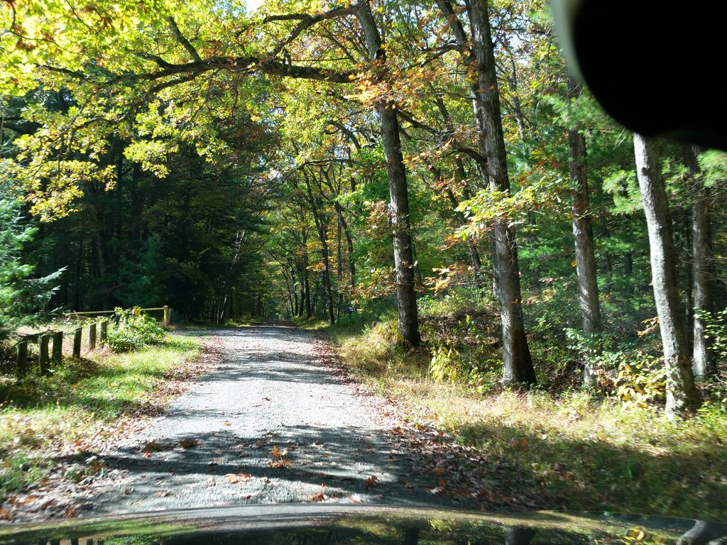 Overlook Trail