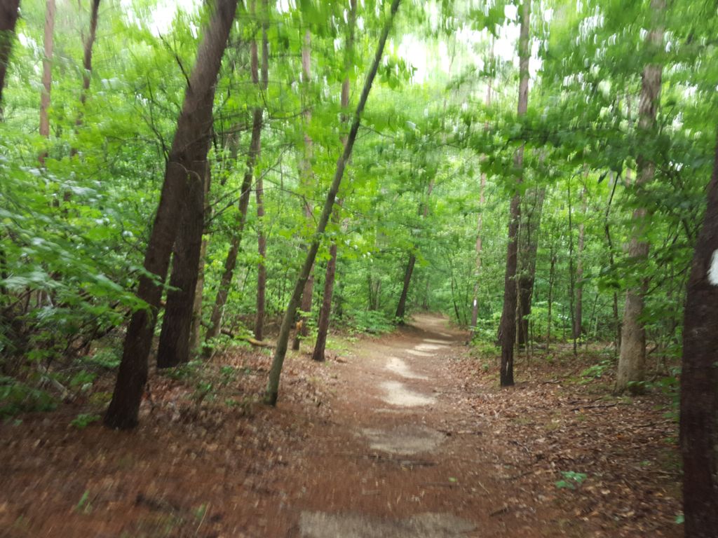 Glendening - Green Loop