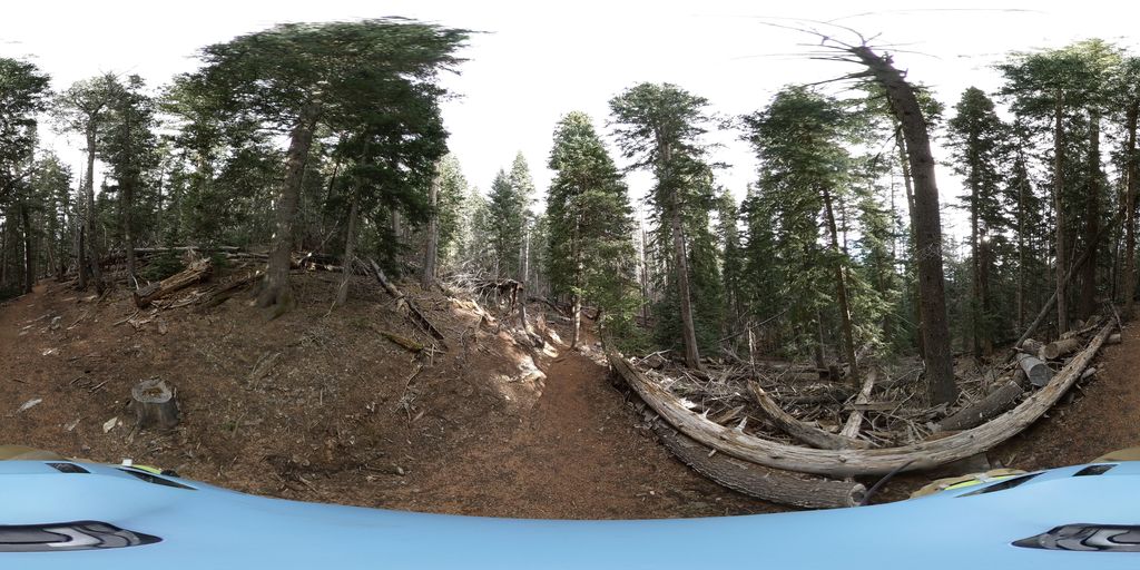 10k Trail North