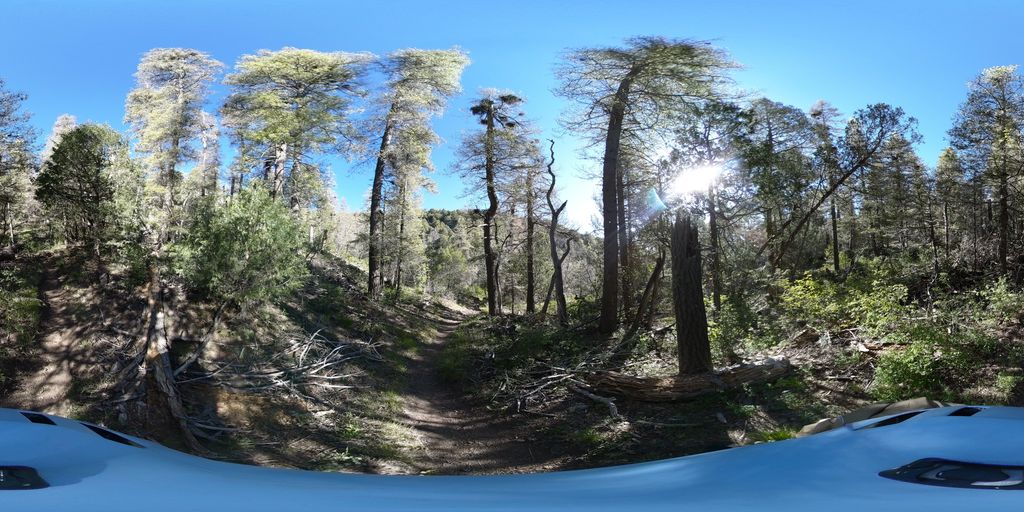 Ciénega Trail