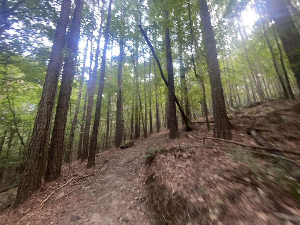 Slab Creek