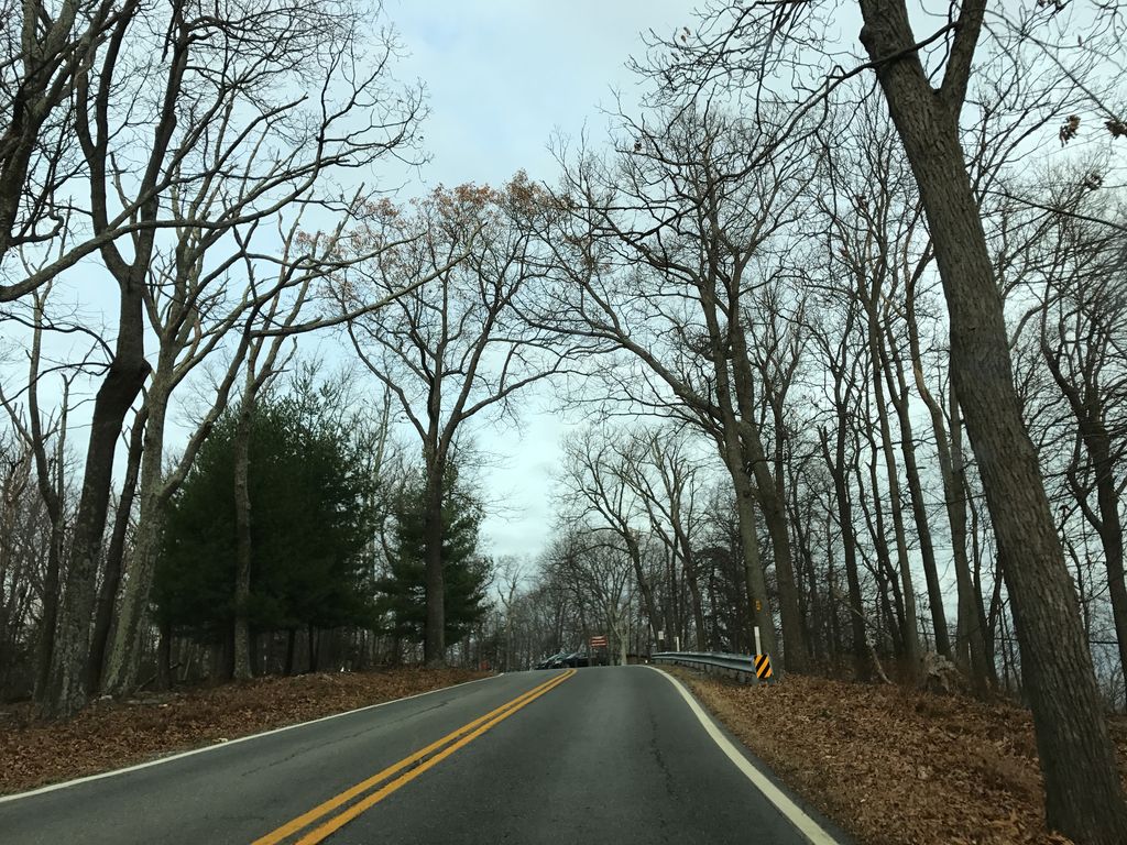 Black Locust Trail
