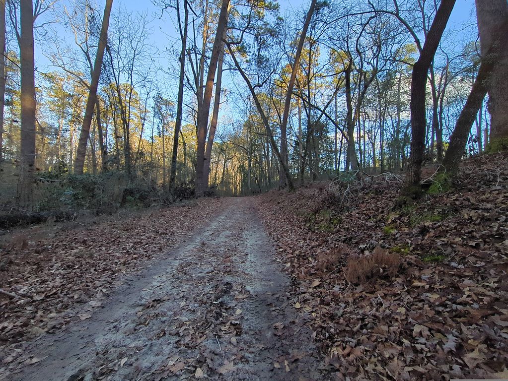 Willie Barton's Line
