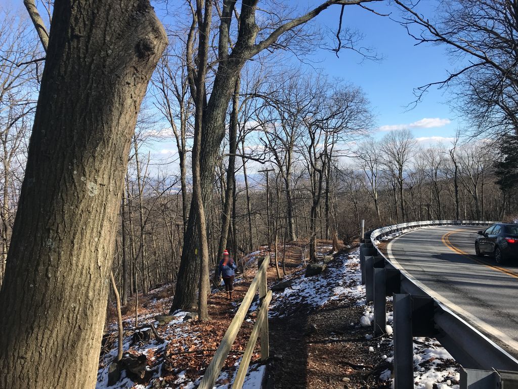 Red Maple Trail
