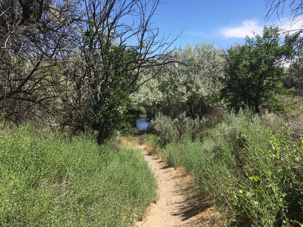Jack Rabbit Trail