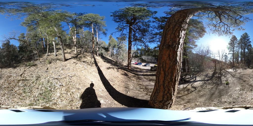 Wagon Trail