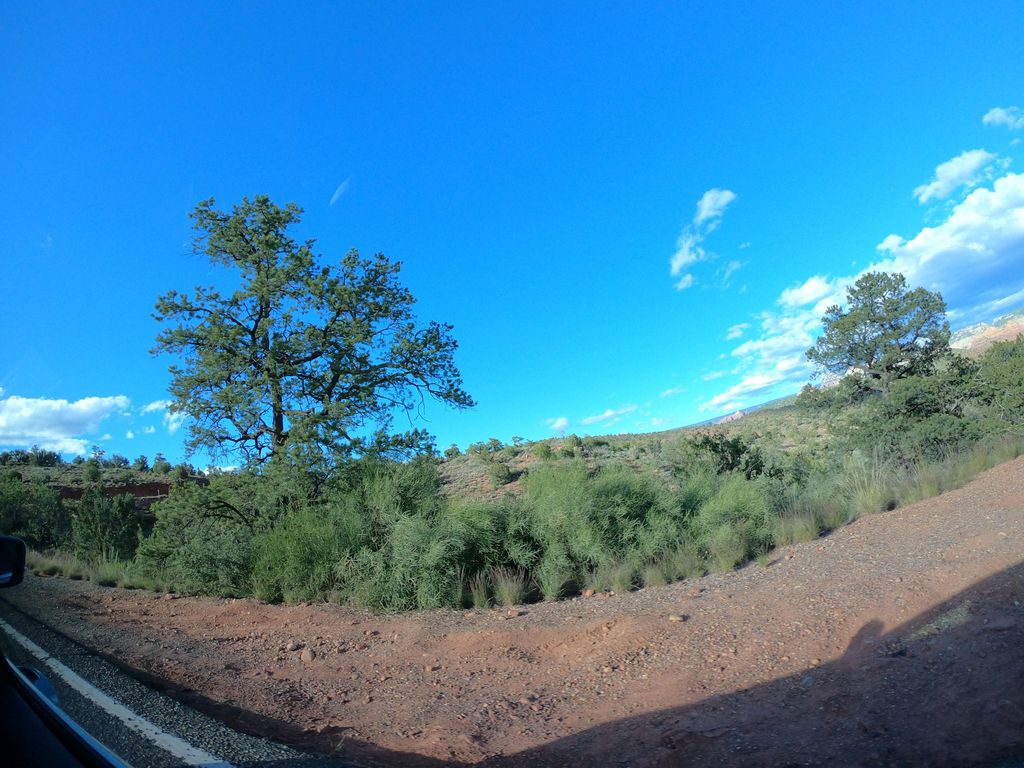 Schuerman Mountain Vista #56A