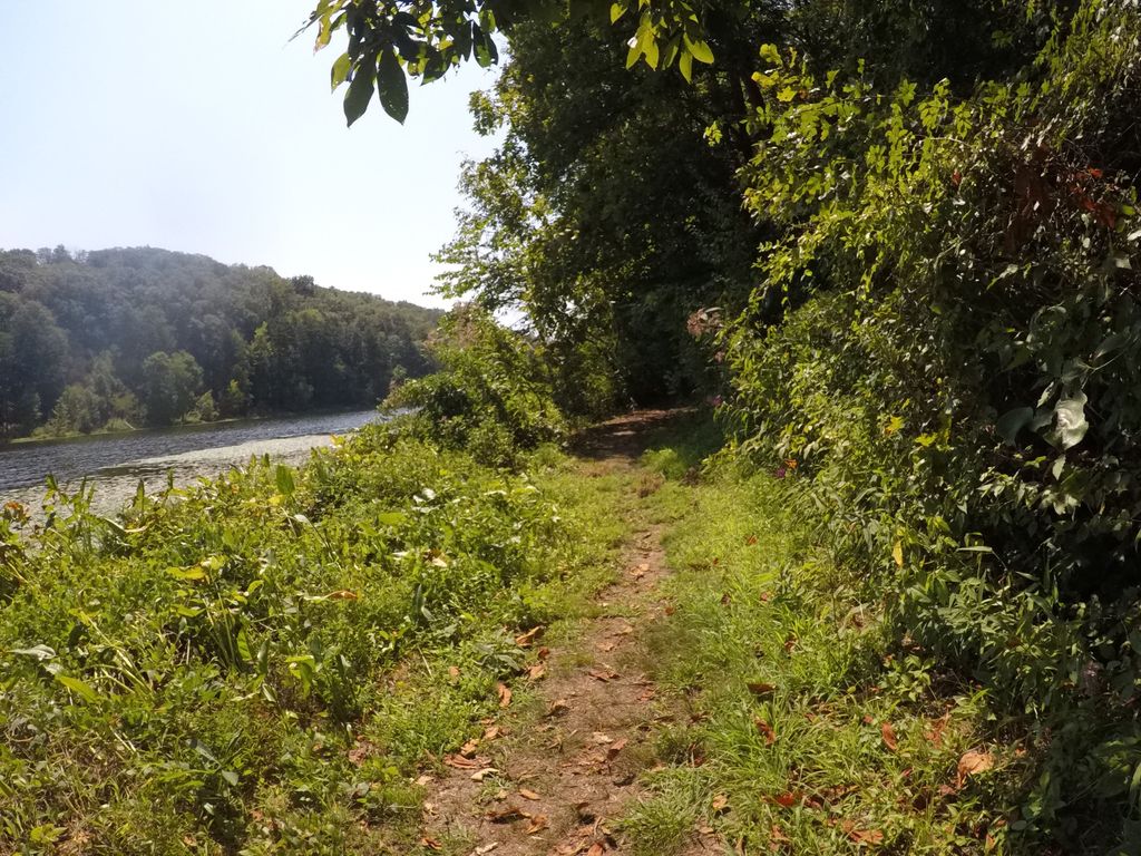 Black Oak Trail