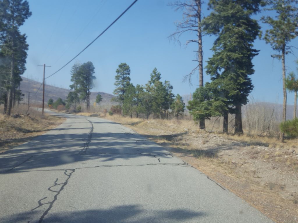 Camp May Road Trail