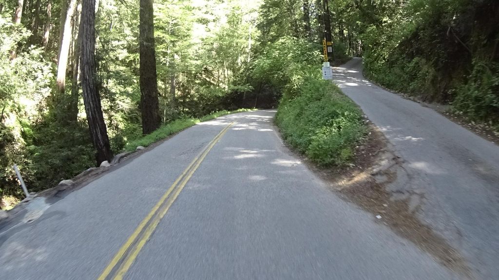 Woodrat Trail
