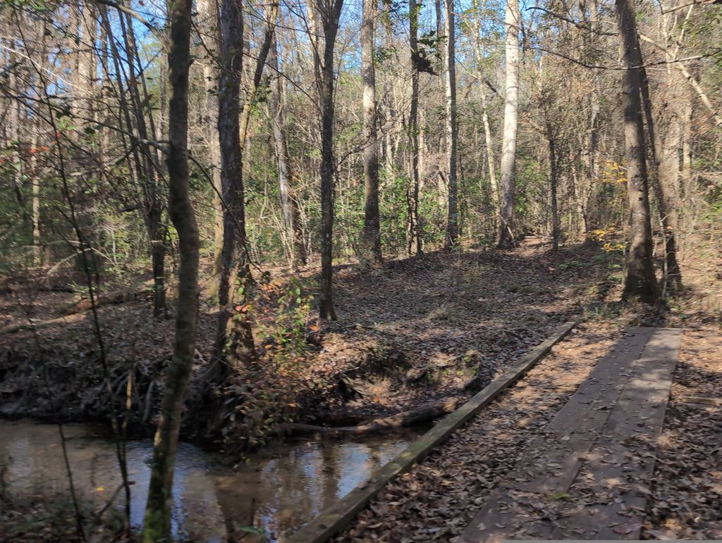 Garden of Eden Trail