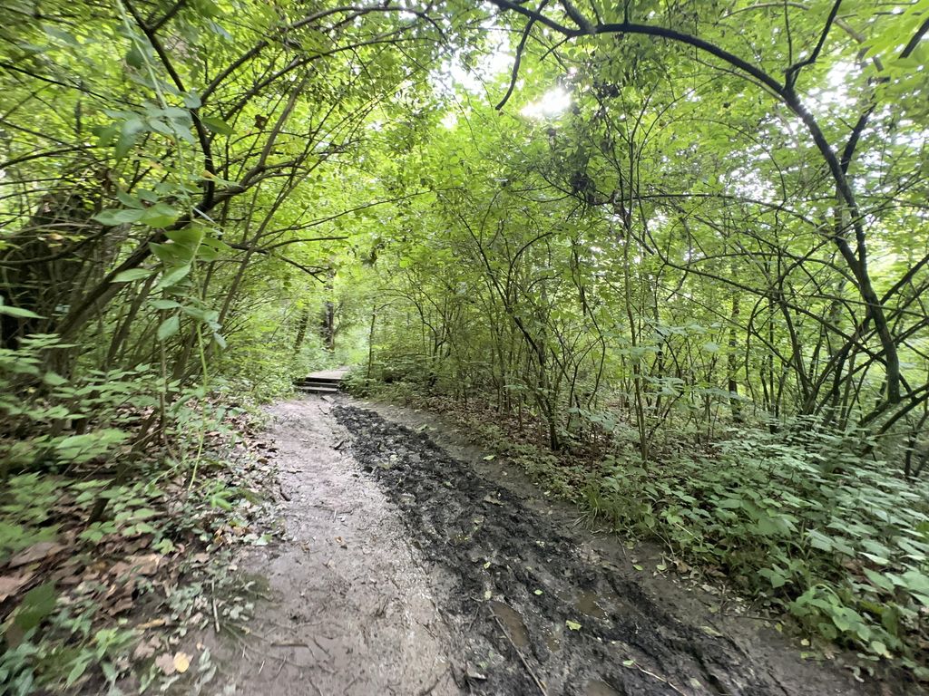 North Rim Trail