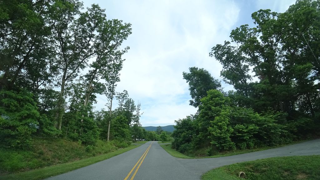 Tulip Poplar Trail