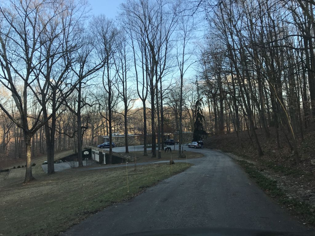 White Trail