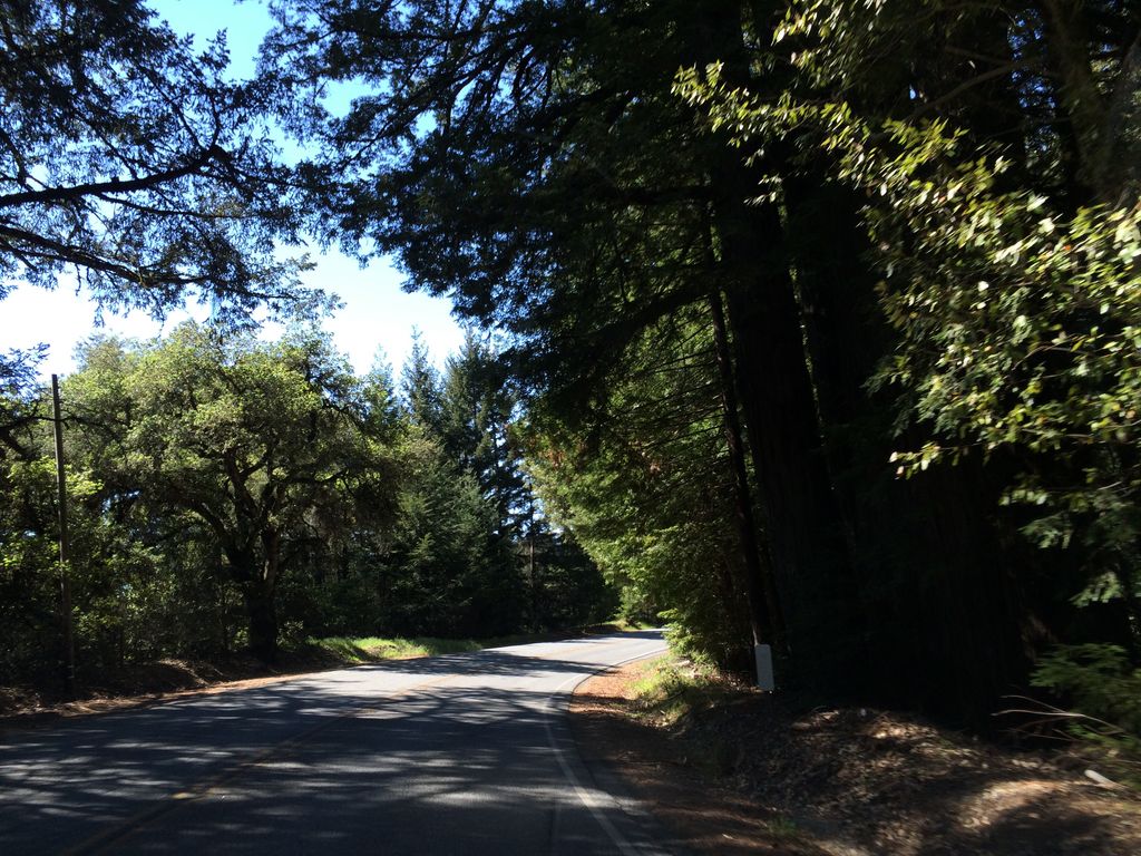 Shingle Mill Point Campground