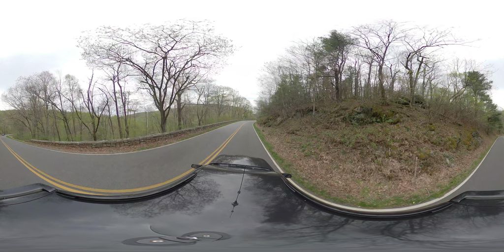 Simmons Gap Fire Road