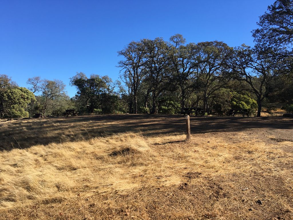 Blue Oak Horse Camp