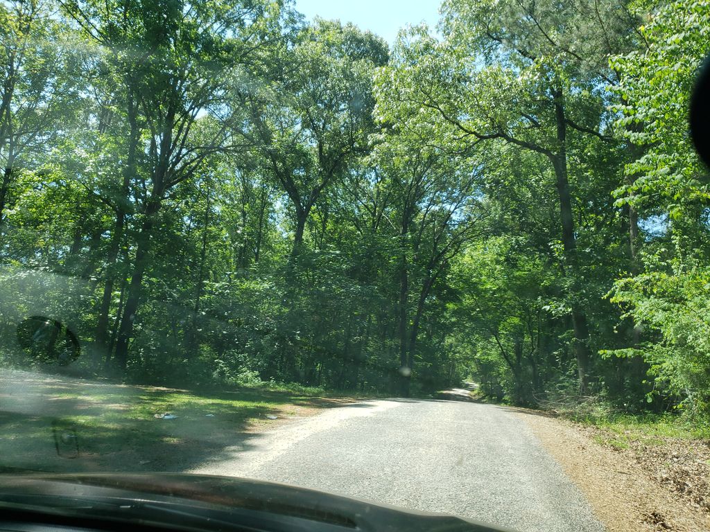 Coon Creek National Recreation Trail