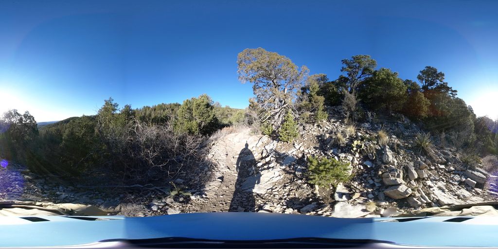 Bill Spring Trail
