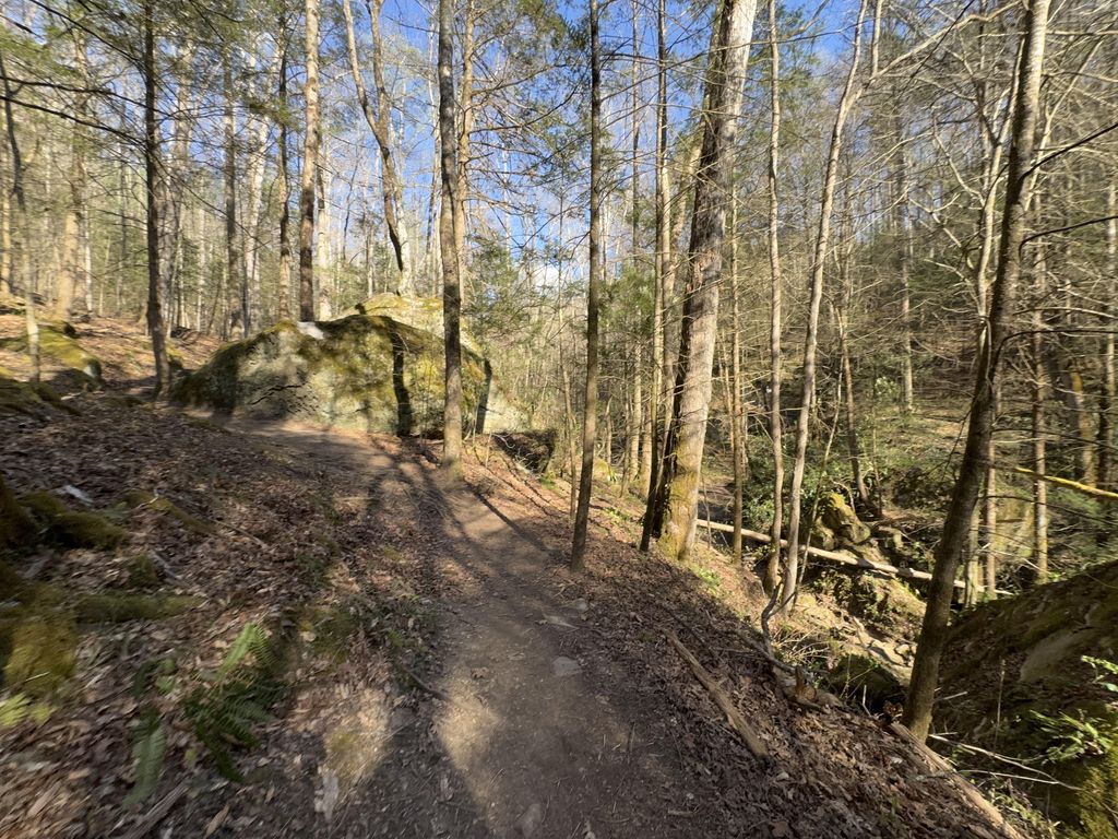 Sheltowee Trace NRT Section 14